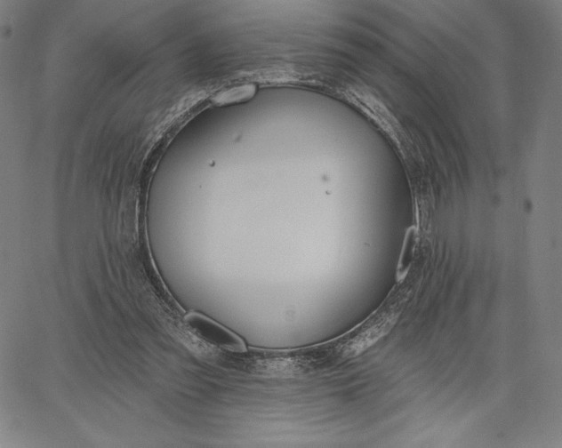 X0000067330301200604131707