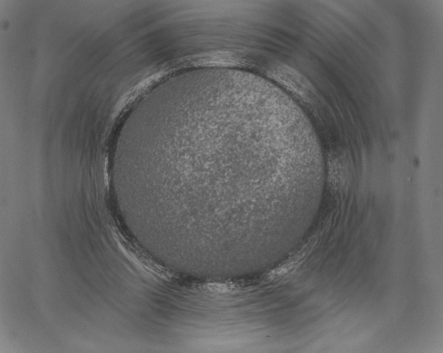 X0000067330302200604131707