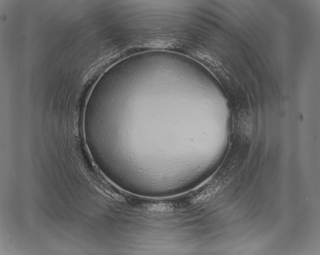 X0000067330303200604131707