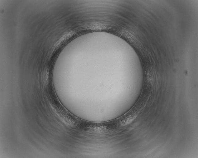 X0000067330304200604131707