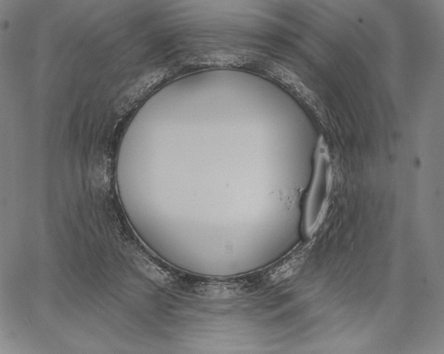 X0000067330305200604131707