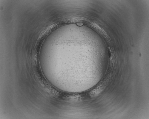 X0000067330306200604131707