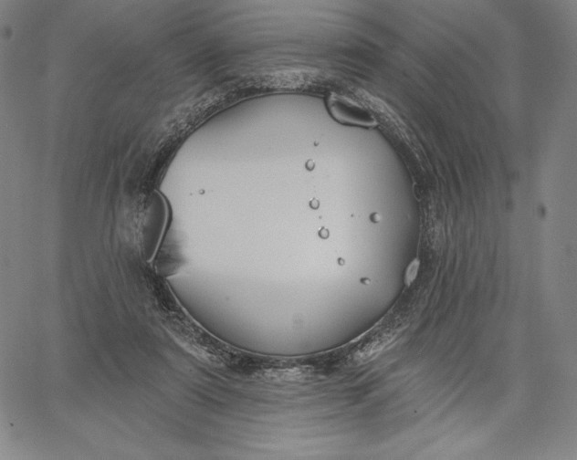 X0000067330307200604131707