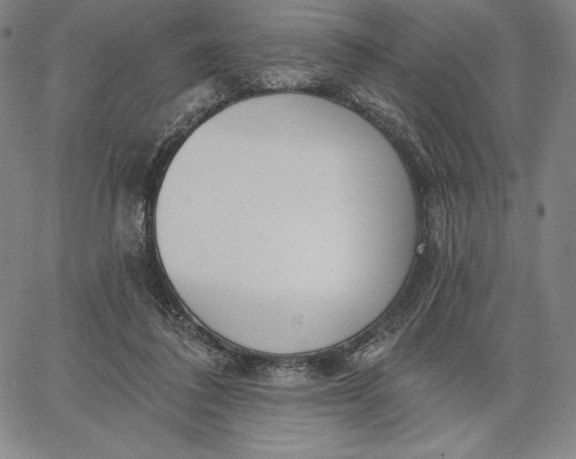 X0000067330308200604131707