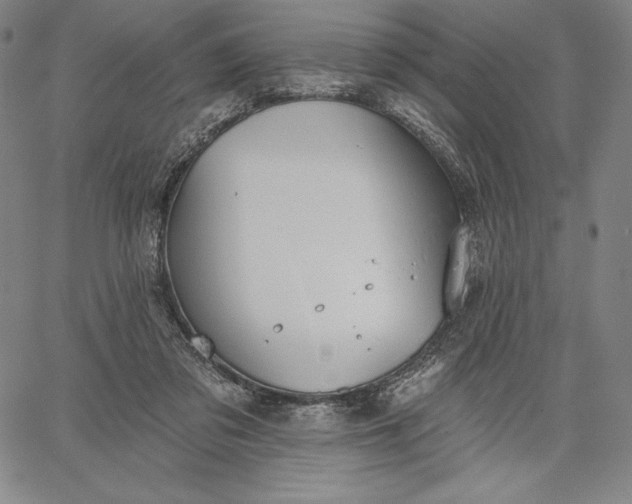 X0000067330309200604131707