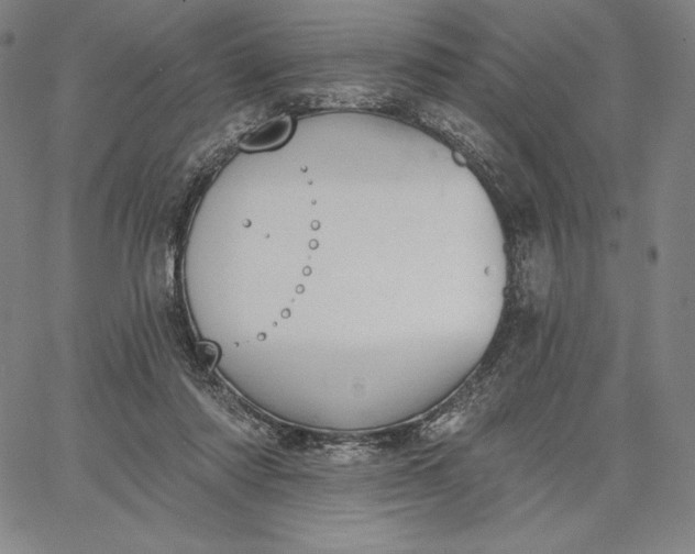 X0000067330310200604131707