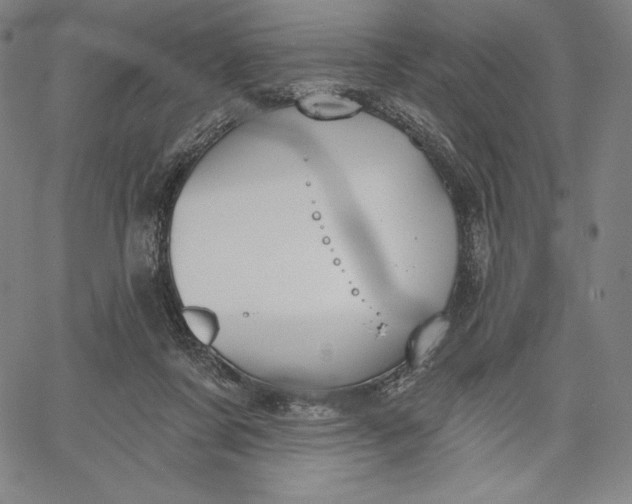 X0000067330311200604131707