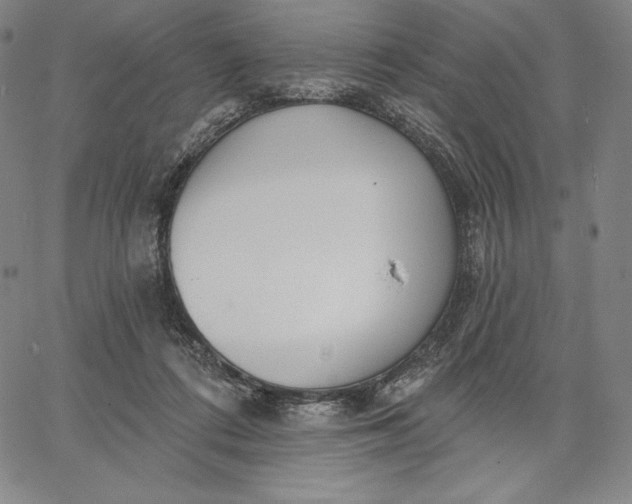 X0000067330312200604131707