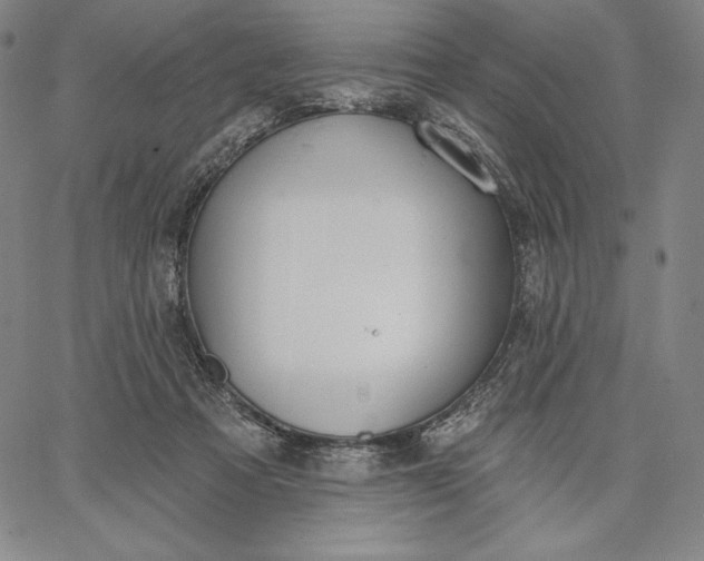 X0000067330313200604131707