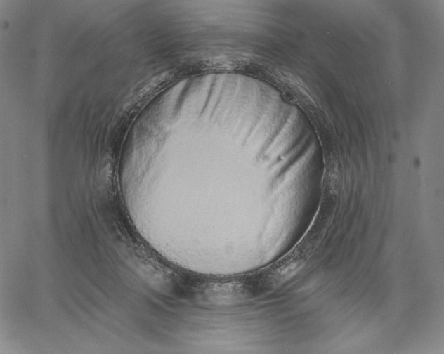 X0000067330314200604131707