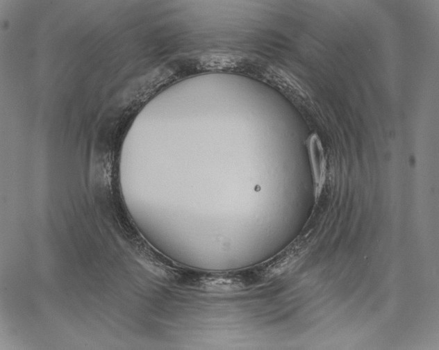 X0000067330315200604131707