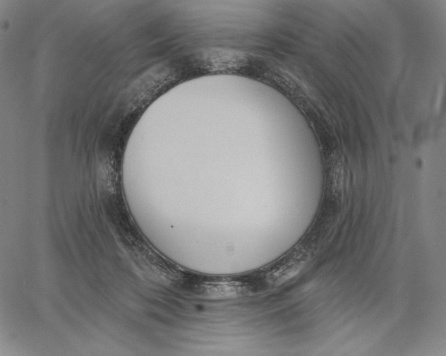 X0000067330316200604131707