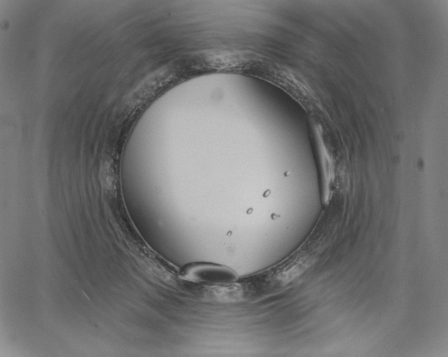 X0000067330317200604131707