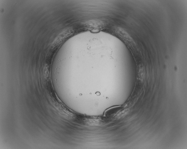 X0000067330318200604131707