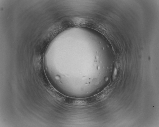 X0000067330319200604131707