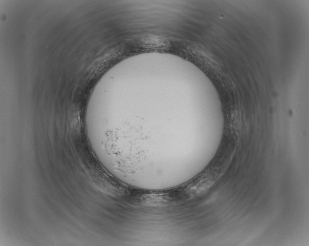 X0000067330320200604131707