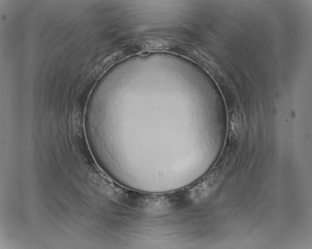 X0000067330322200604131707