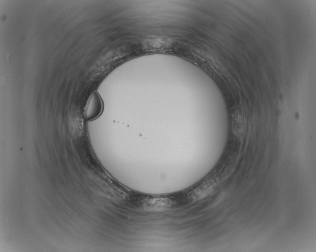 X0000067330324200604131707