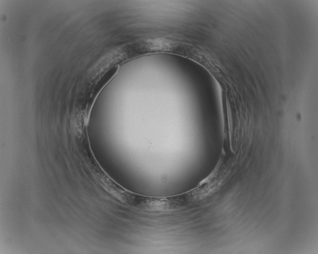 X0000067330325200604131707