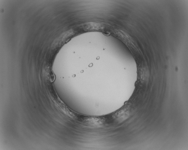 X0000067330326200604131707