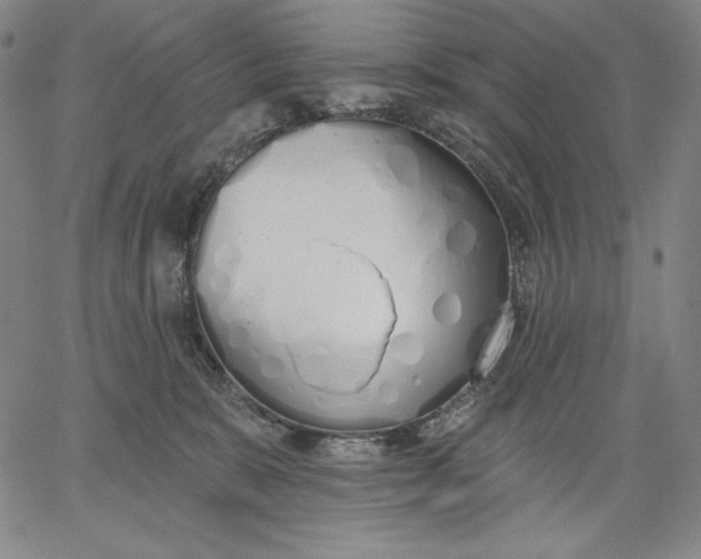 X0000067330327200604131707