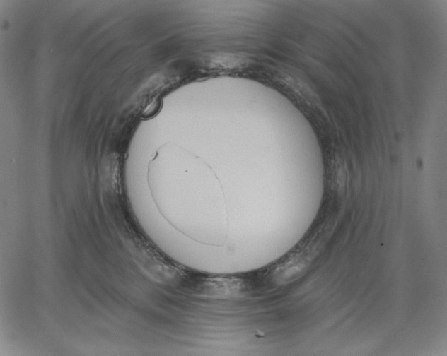 X0000067330328200604131707