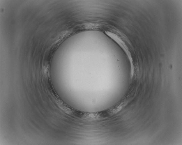 X0000067330329200604131707