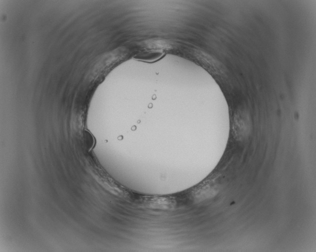 X0000067330330200604131707