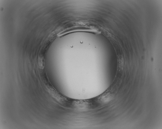 X0000067330331200604131707