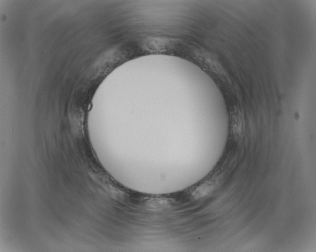 X0000067330332200604131707