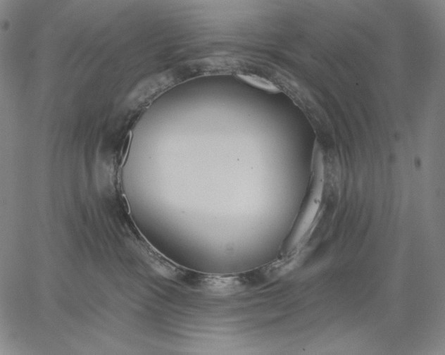 X0000067330333200604131707