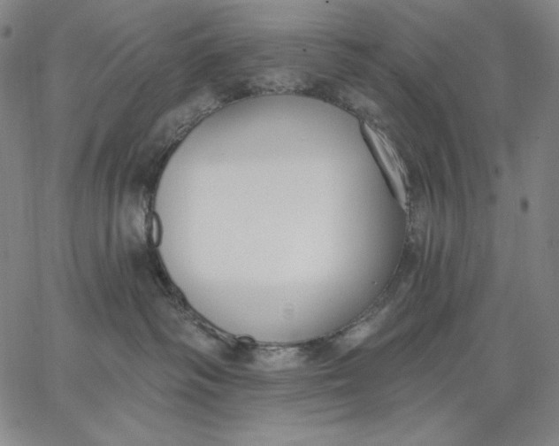 X0000067330334200604131707