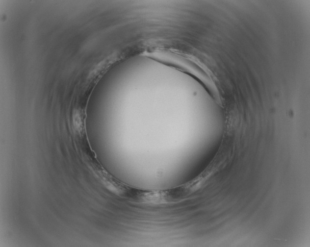 X0000067330335200604131707