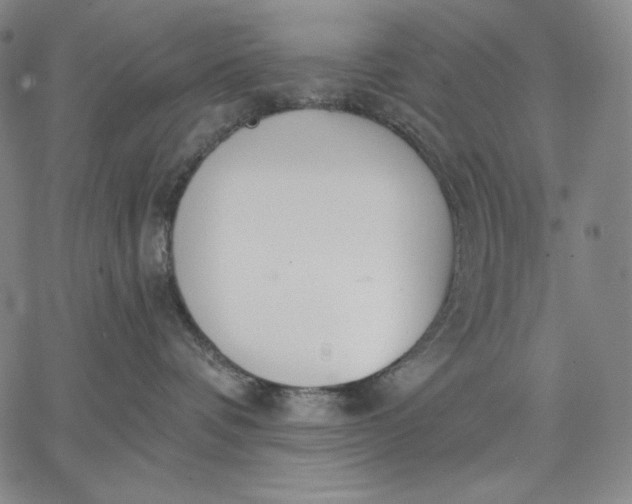 X0000067330336200604131707