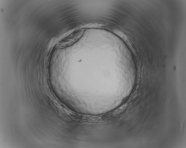 X0000067330337200604131706