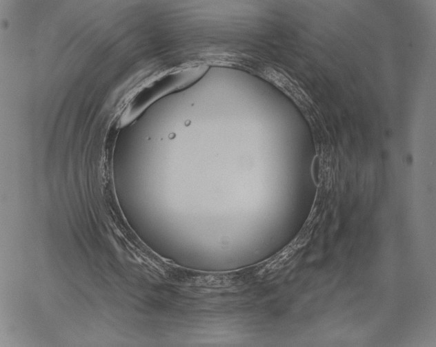 X0000067330338200604131706