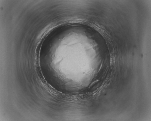 X0000067330339200604131706