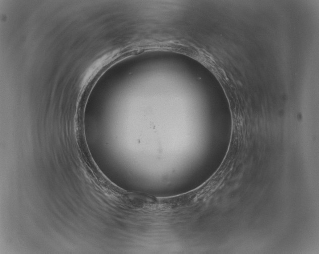 X0000067330340200604131706