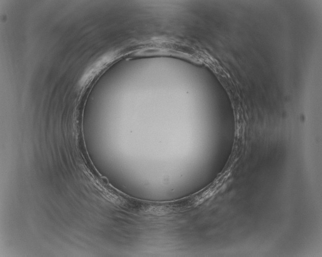 X0000067330341200604131706