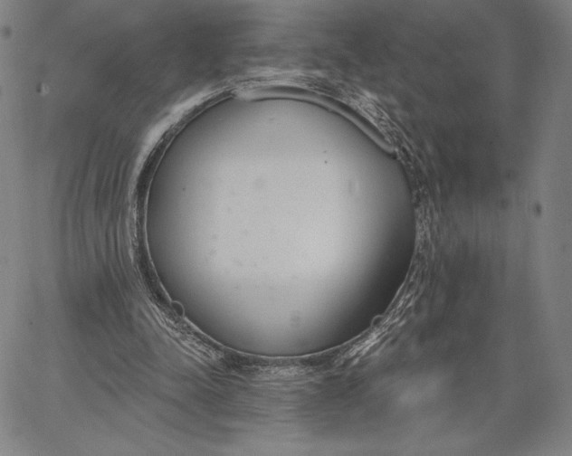 X0000067330342200604131706