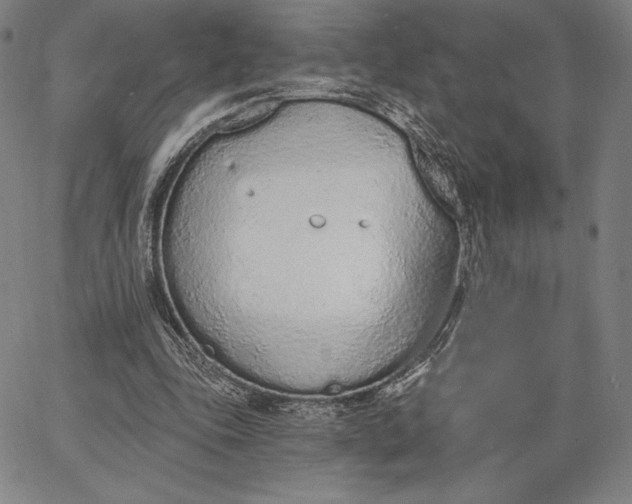 X0000067330343200604131706