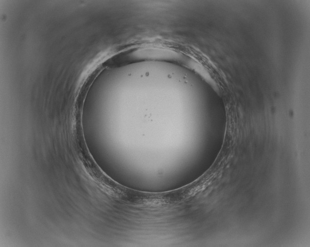 X0000067330344200604131706