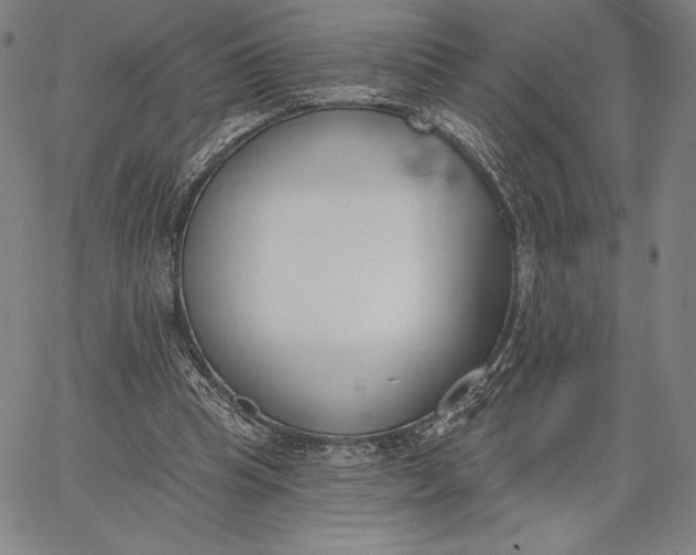 X0000067330345200604131706