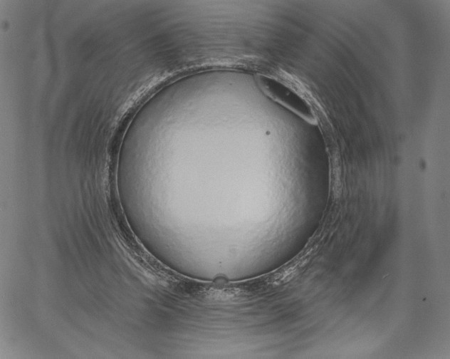 X0000067330346200604131706