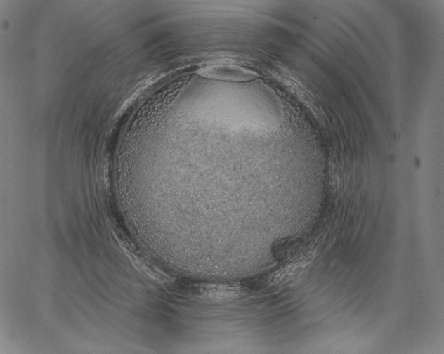 X0000067330347200604131706