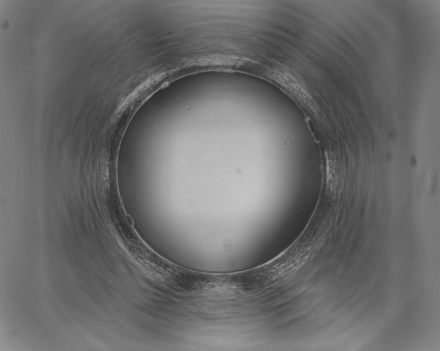 X0000067330348200604131706