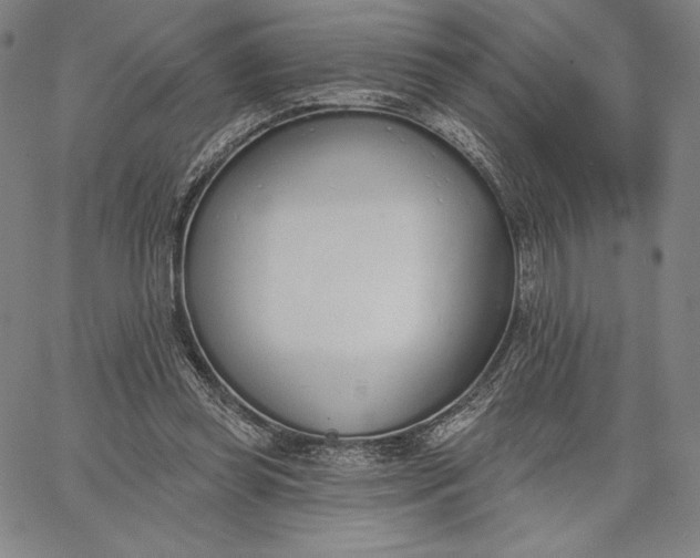 X0000067330349200604131706