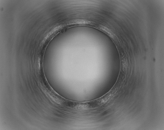 X0000067330350200604131706