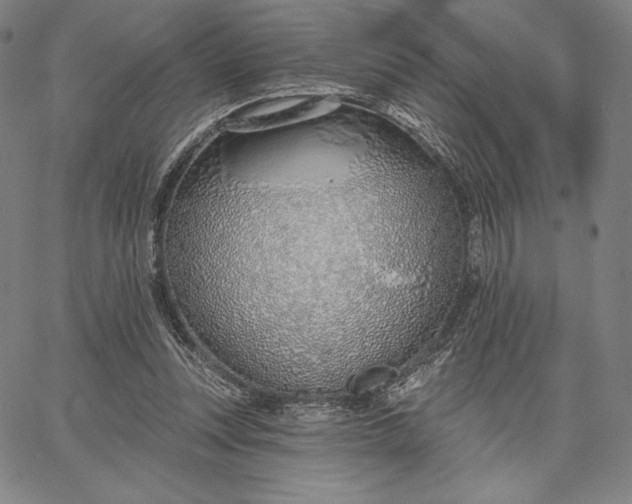 X0000067330351200604131706