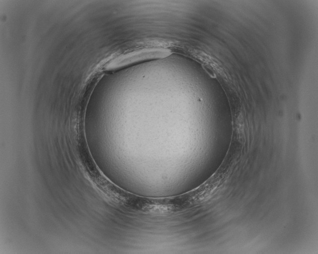 X0000067330352200604131706